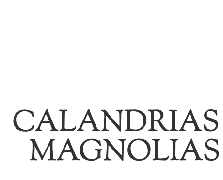 Entre Calandrias y Magnolias